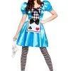 Storybook Alice Ladies Costume -Hot Sale Cosyumes Store lrgscaleef2221