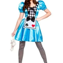 Storybook Alice Ladies Costume