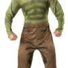 Avengers Hulk Costume