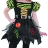 Pumpkin Patch Witch Costume -Hot Sale Cosyumes Store lrgscalepumpkinpatchc2