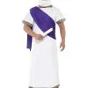 Socrates Costume -Hot Sale Cosyumes Store lrgscalesocrates 1