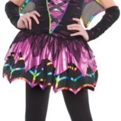 Spider Fairy Costume